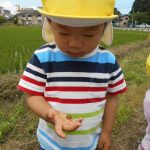お散歩楽しいな♪