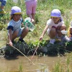 おたまじゃくしとり＆どろんこ遊び