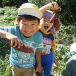 さつまいも掘りをしたよ☆