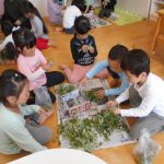 よもぎってどれかな？？