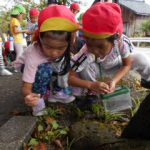 秋、み～つけた！